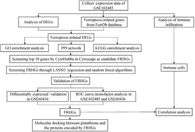 Identification of potential ferroptosis-related biomarkers and a pharmacological compound in diabetic retinopathy based on machine learning and molecular docking